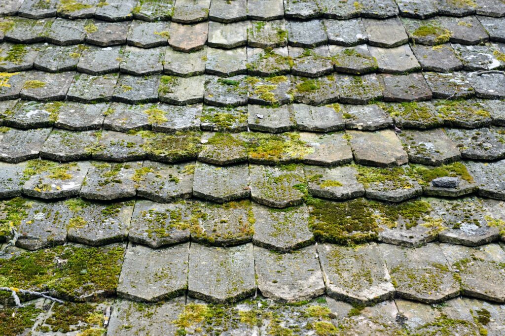 Nettoyage et démoussage de toiture - Stoll Rénovation - Haute-Garonne​